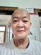 中国当代艺术新典范--李成森